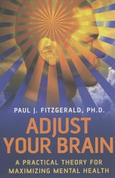 Adjust Your Brain  A Practical Theory for Maximising Mental Health