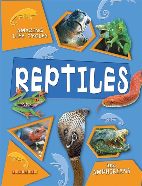 Amazing Life Cycles: Reptiles and Amphibians