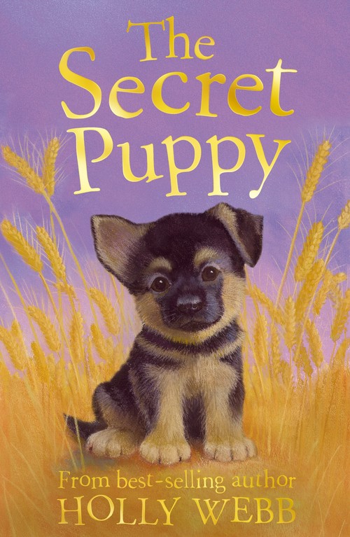The The Secret Puppy
