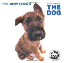 The Dog