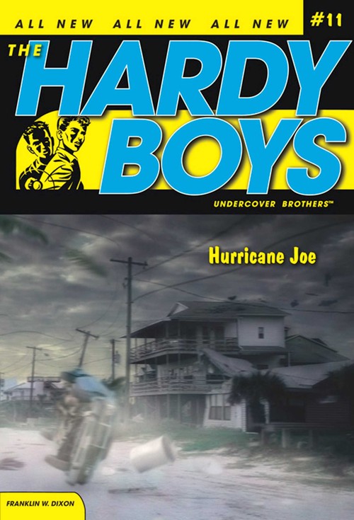 Hurricane Joe