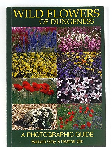 Wild Flowers of Dungeness