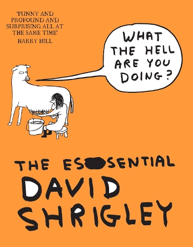What The Hell Are You Doing?: The Essential David Shrigley