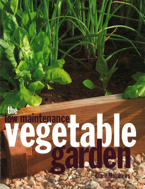 The Low-Maintenance Vegetable Garden