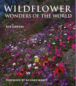 Wildflower Wonders