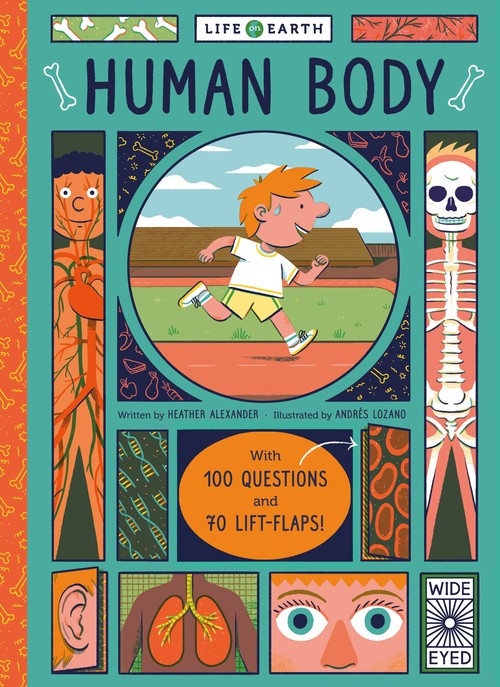 Life on Earth: Human Body