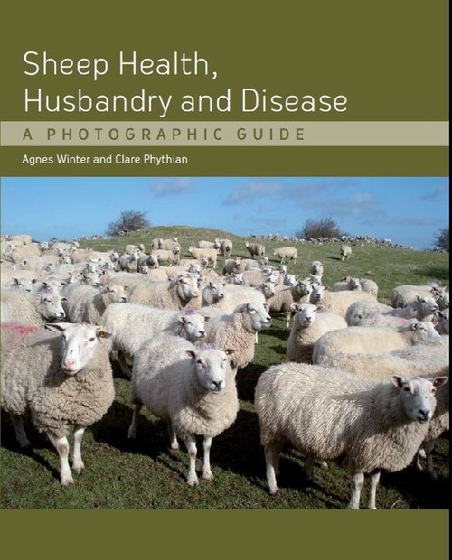 Sheep Health, Husbandry and Disease