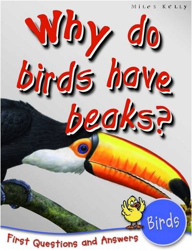 1st Questions and Answers Birds