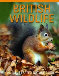 British Wildlife