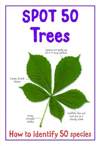 Spot 50 - Trees