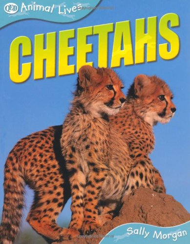 Cheetahs