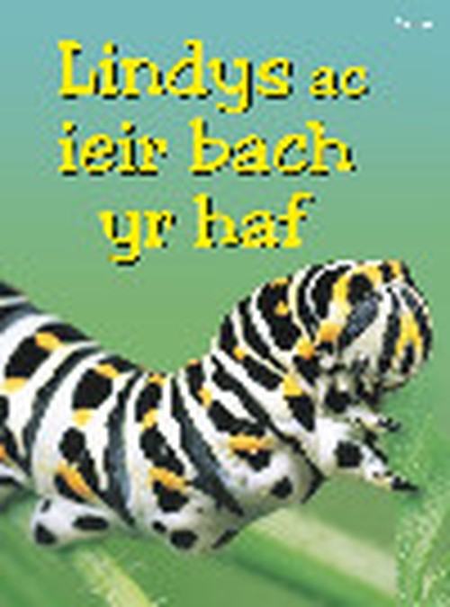 Cyfres Dechrau Da: Lindys ac Ieir Bach yr Haf