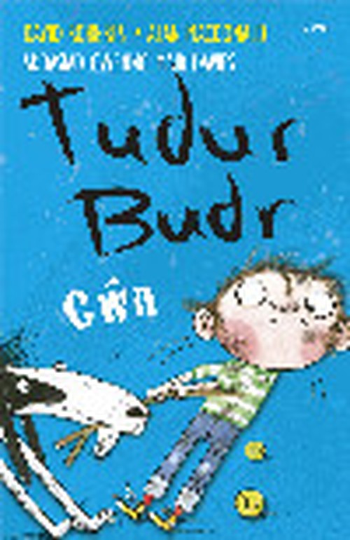 Tudur Budr Cwn