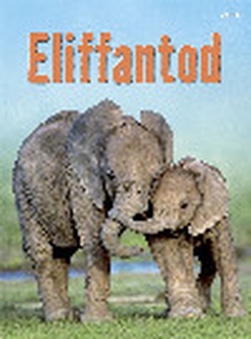 Cyfres Dechrau Da: Eliffantod