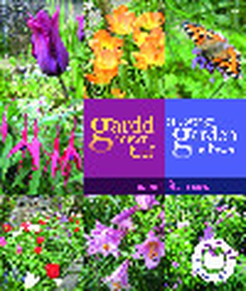 Gardd Mewn Tref/A Cottage Garden in Town