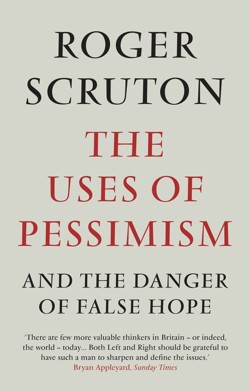 The Uses of Pessimism