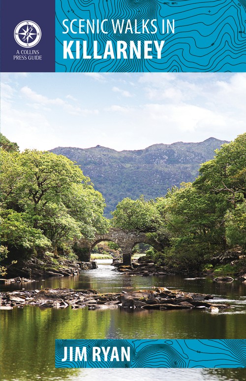 Scenic Walks in Killarney
