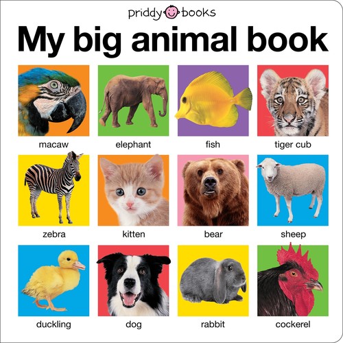 My Big Book of Animals