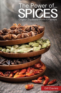 Power of Spices