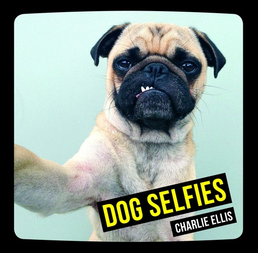 Dog Selfies