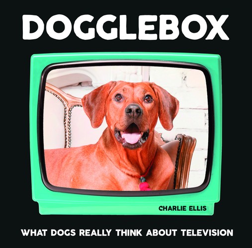 Dogglebox