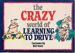 The Crazy World of Learning to Drive