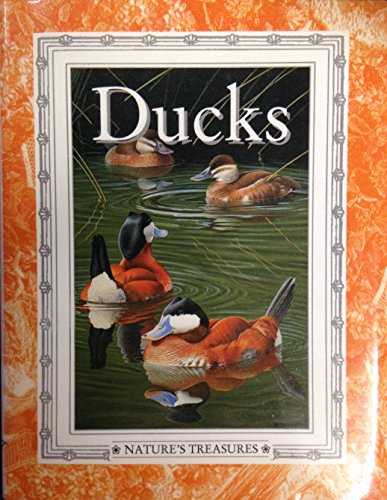 NATURES TREAS DUCKS X5