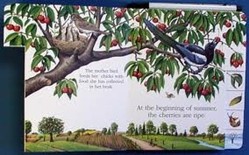 The Seasons