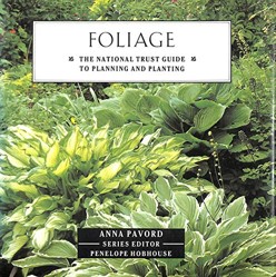 FOLIAGE NT GDE PLANTING & PLA