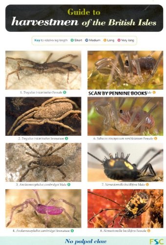 Guide to Harvestmen of the British Isles