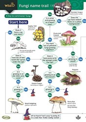 The Fungi Name Trail