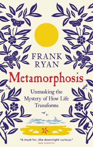 Metamorphosis
