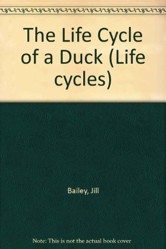 The Life Cycle Of A Duck