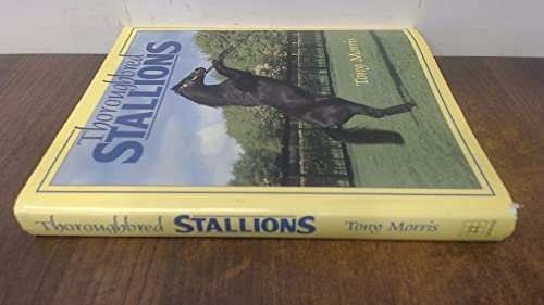 Thoroughbred Stallions