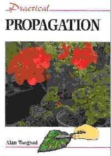 Practical Propagation