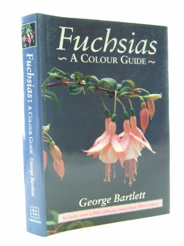 Fuchsias