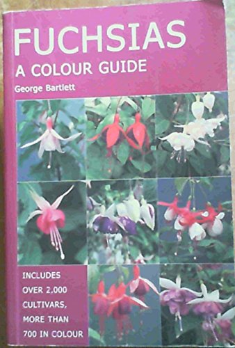 Fuchsias