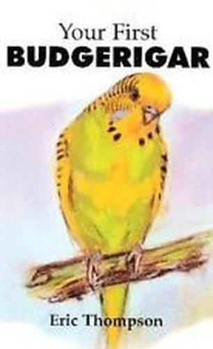 Your First Budgerigar
