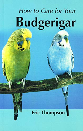 How to Care for Your Budgerigar