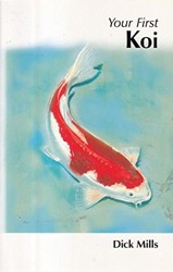 How to Care for Your Koi