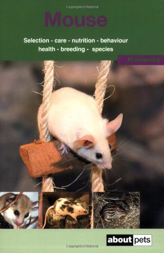 The Mouse
