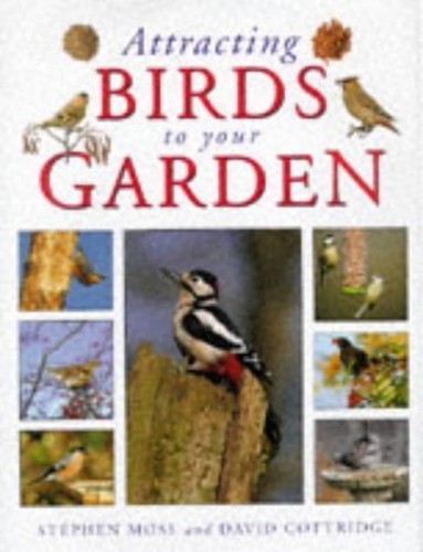 Attracting Birds to Your Garden
