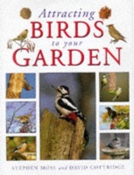 Attracting Birds to Your Garden