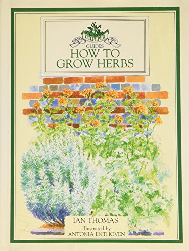 How to Grow Herbs