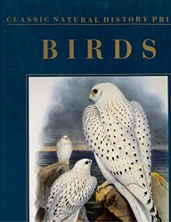 CLAS.NAT.HIST.PRINTS BIRDS