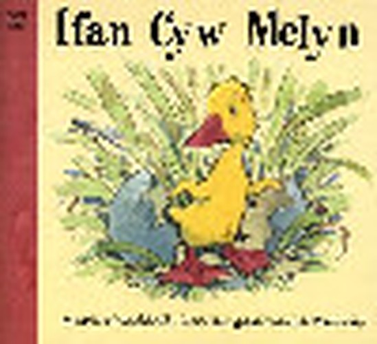 Ifan Cyw Melyn