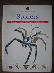 Spiders