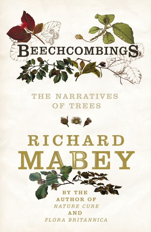 Beechcombings