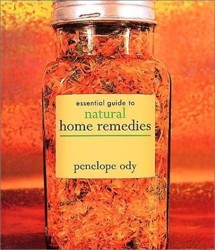 Essential Guide to Natural Home Remedies