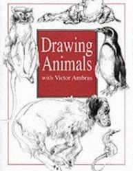 Drawing Animals